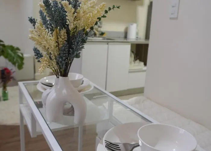 Cozy Near It Park With Fast-wifi, Balcony And Gym Access Apartment Cebu